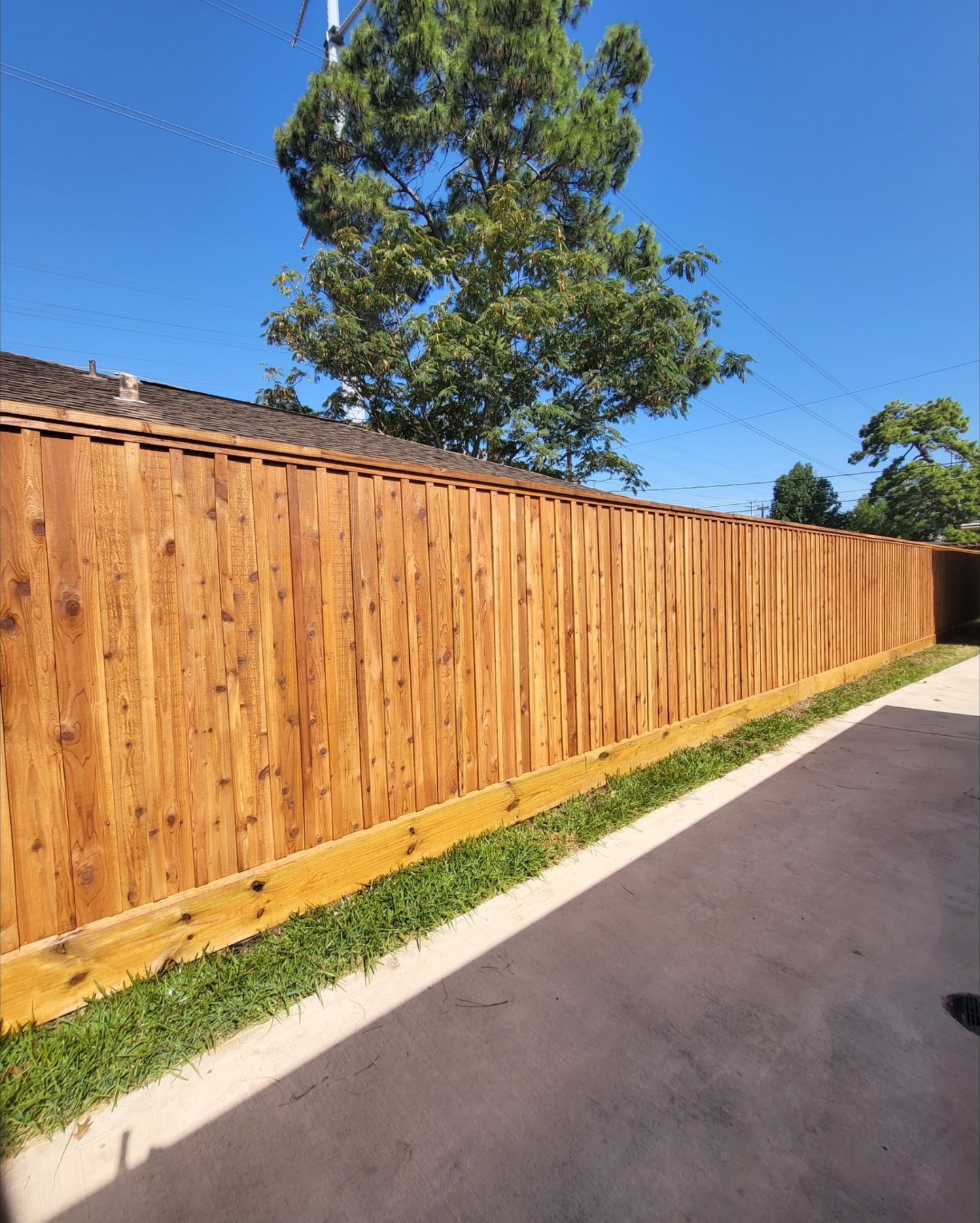 New cedar privacy fence